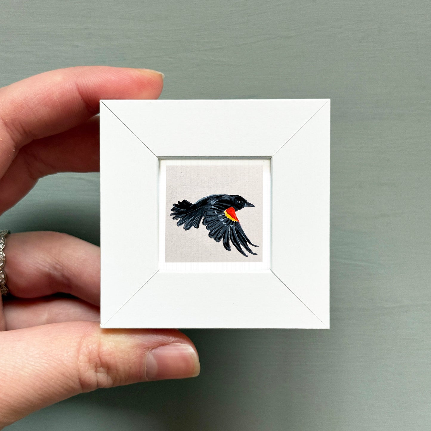 A hand is holding a small white square frame containing a black bird with a red beak and black wings.