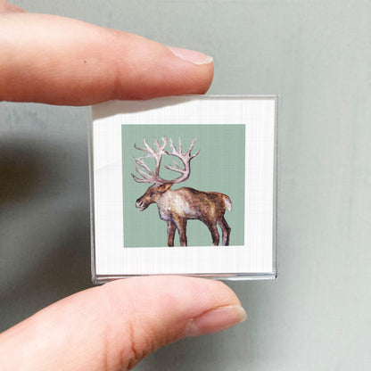 A person's hand is holding a small square picture of a deer with large antlers.