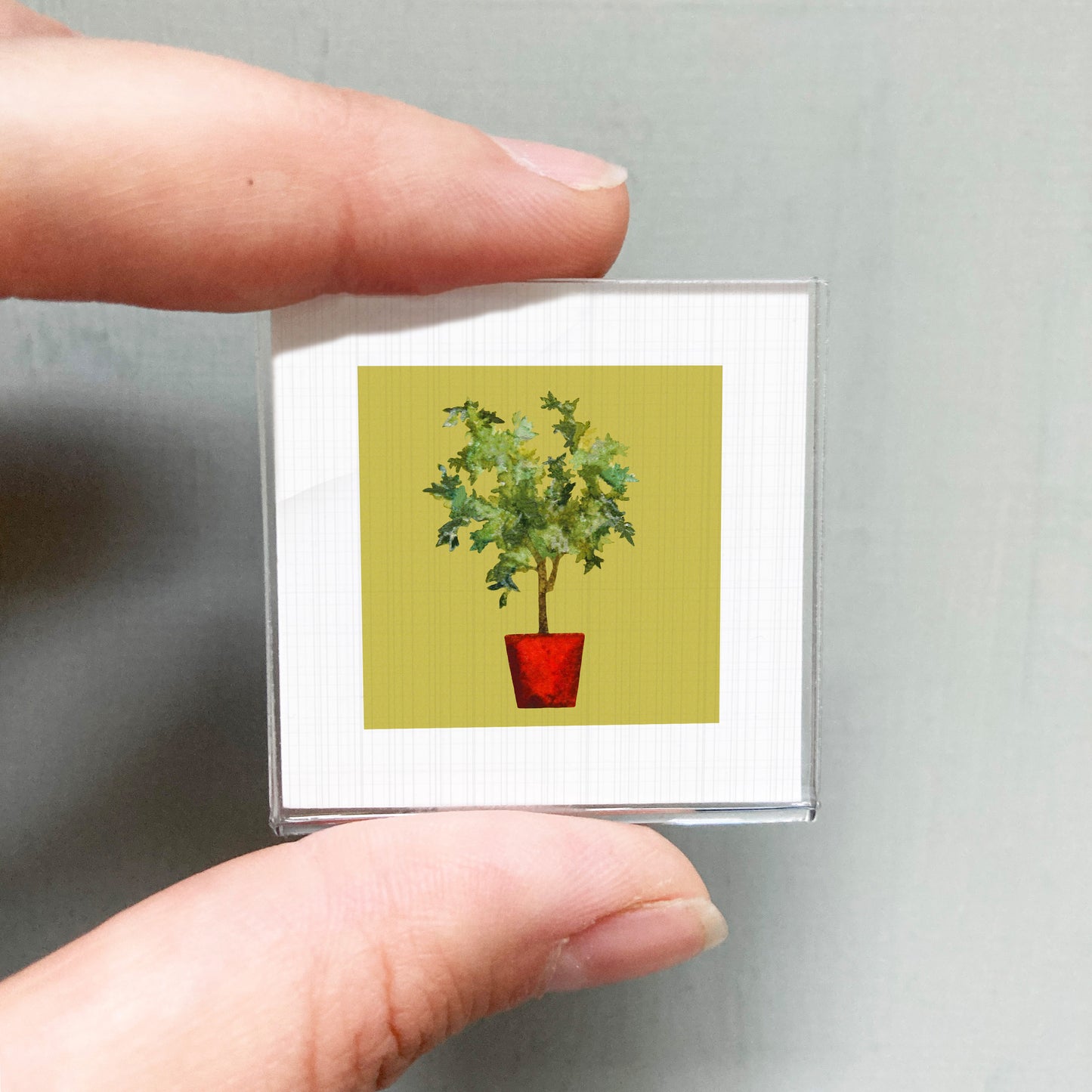A person's hand holding a small square picture of a potted plant with green leaves.