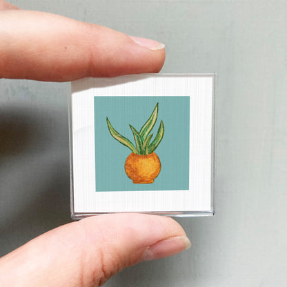 A person's hand holding a small square picture of a plant in a pot.