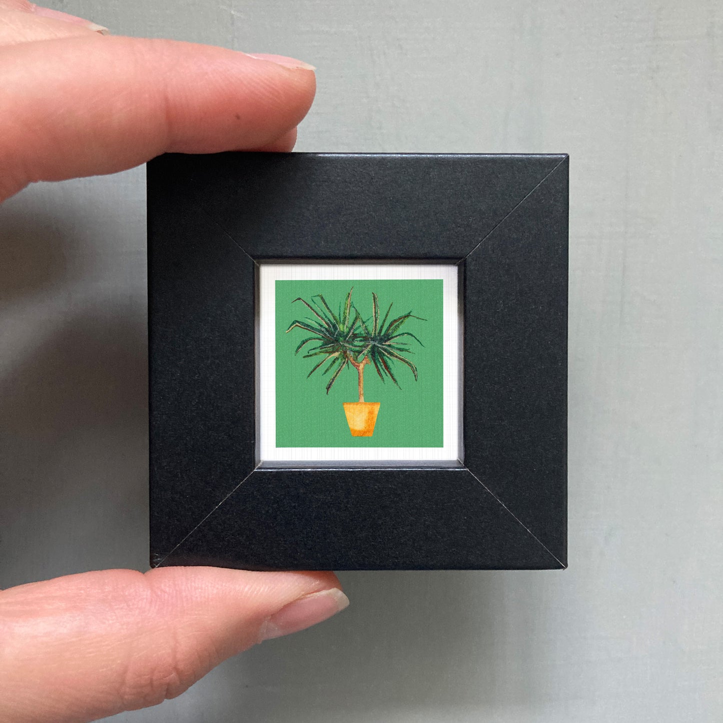 A person's hand holding a small black square frame containing a framed illustration of a potted plant.