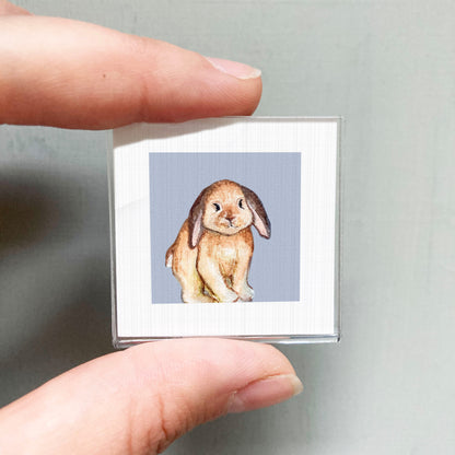 A person's hand holding a small square picture of a rabbit against a light blue background.