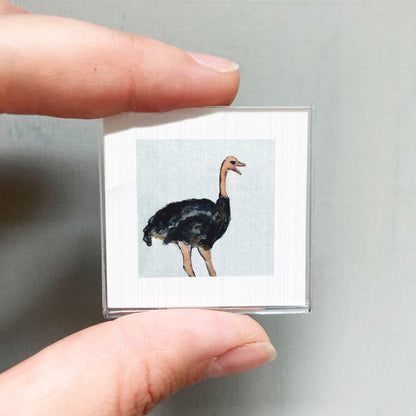 A person's hand is holding a small square picture of an ostrich.