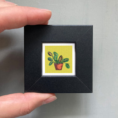 A person's hand holding a small black frame containing a framed illustration of a potted plant.