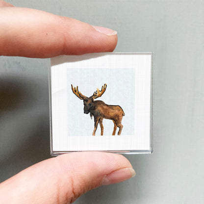 A person's hand is holding a small square picture of a moose.