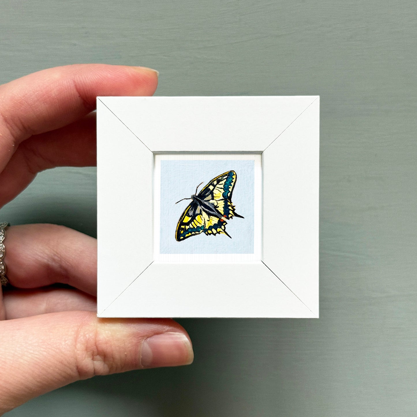 A hand is holding a small white square frame containing a colorful butterfly illustration.