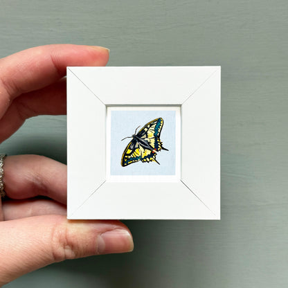 A hand is holding a small white square frame containing a colorful butterfly illustration.