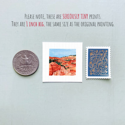 three small prints and a coin, all of which are described as "seriously tiny prints" and "1 inch big," respectively.