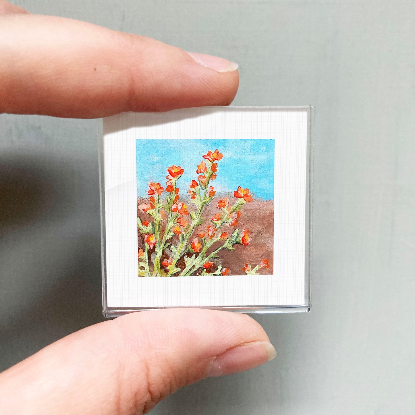 A person's hand holding a small square picture of a field of red flowers against a blue sky.