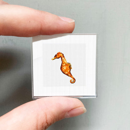 A person's hand is holding a small square picture of a seahorse.