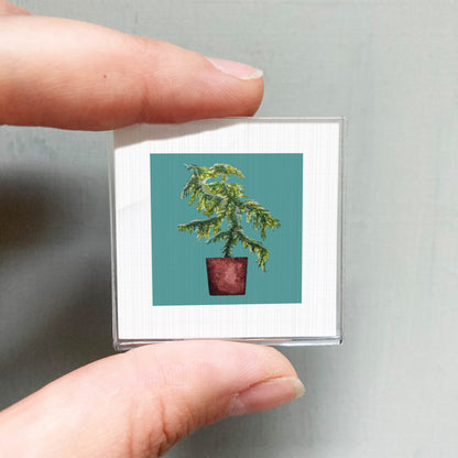 A person's hand holding a small square picture of a potted plant with green leaves.