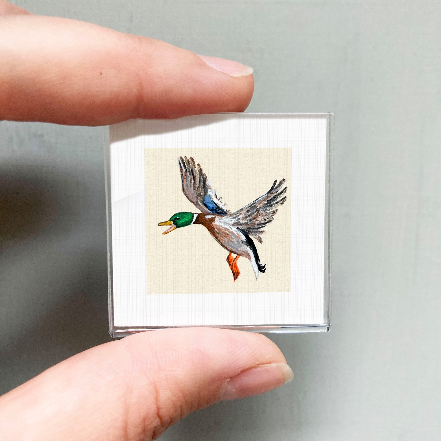 A person's hand is holding a small square picture of a colorful bird, likely a duck, with its wings spread out.
