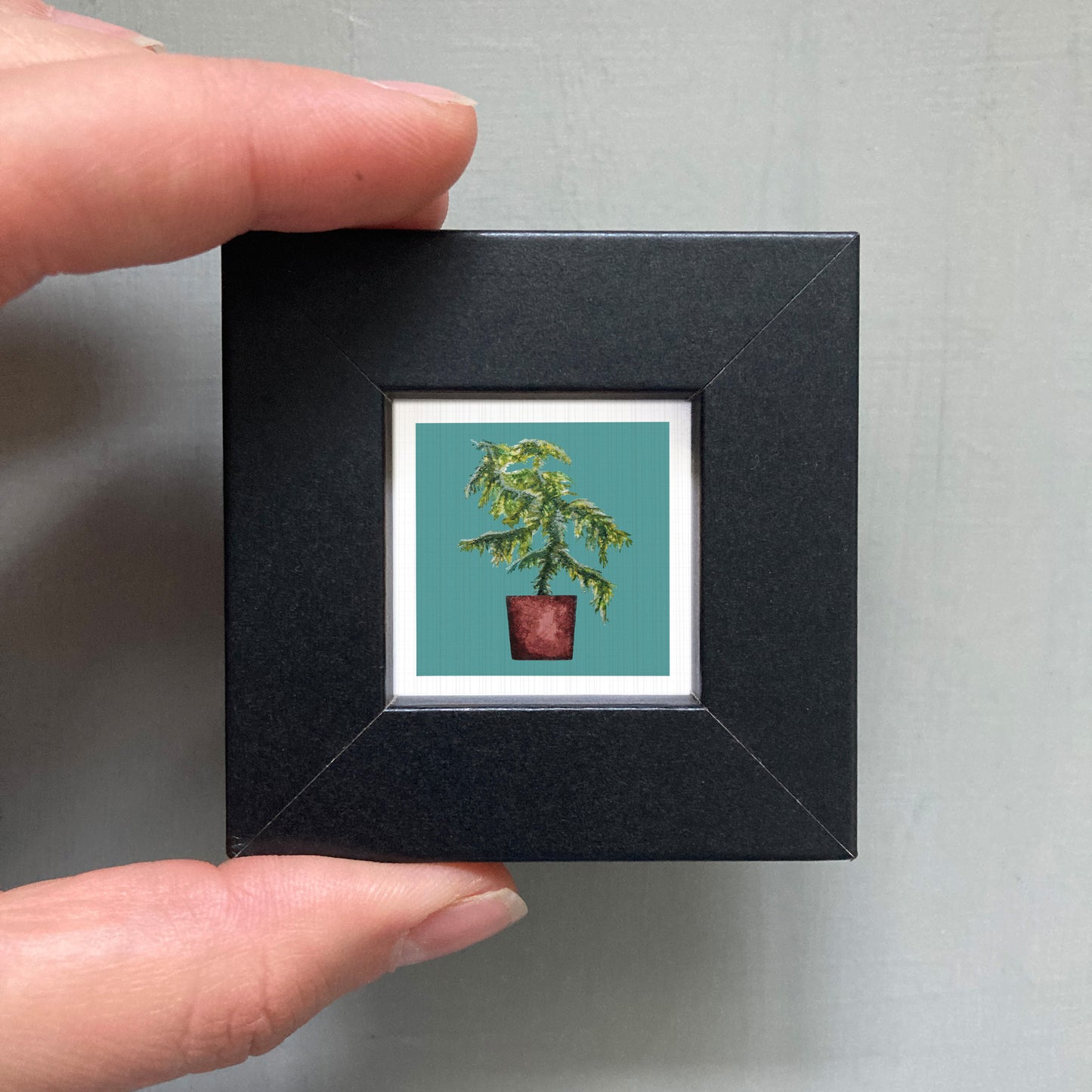 A person's hand holding a small black square frame containing a framed image of a potted plant.