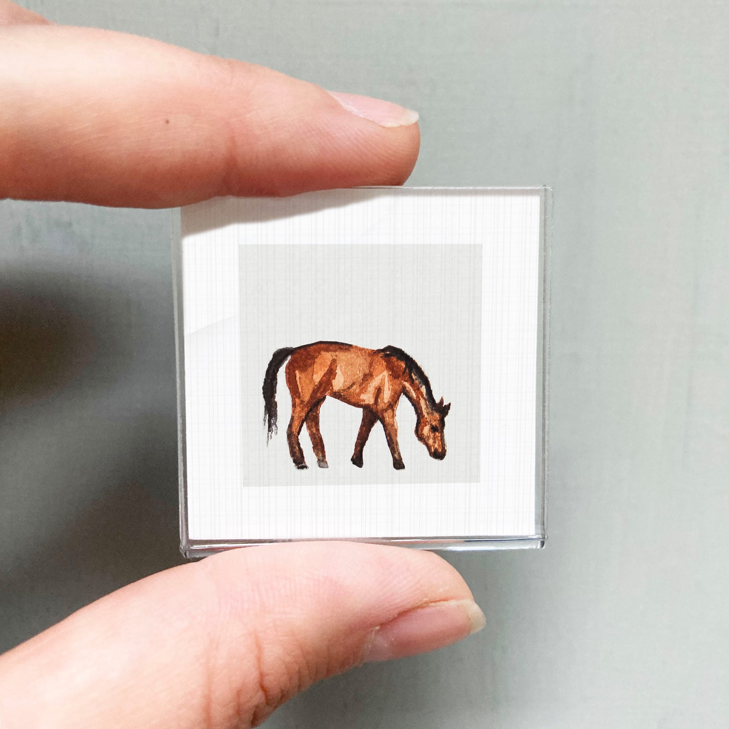 A person's hand is holding a small square with a picture of a horse on it.
