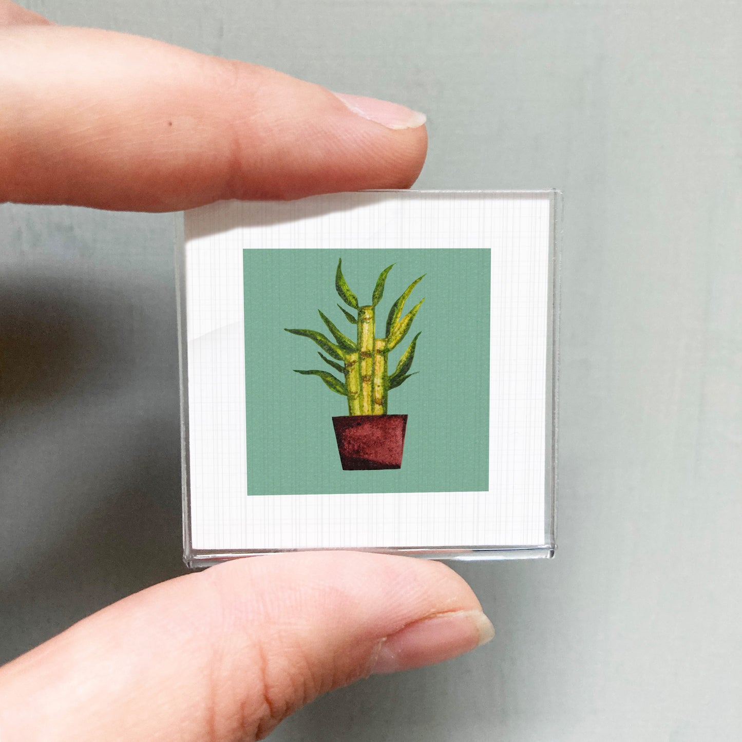 A person's hand holding a small square picture of a potted plant with green leaves.