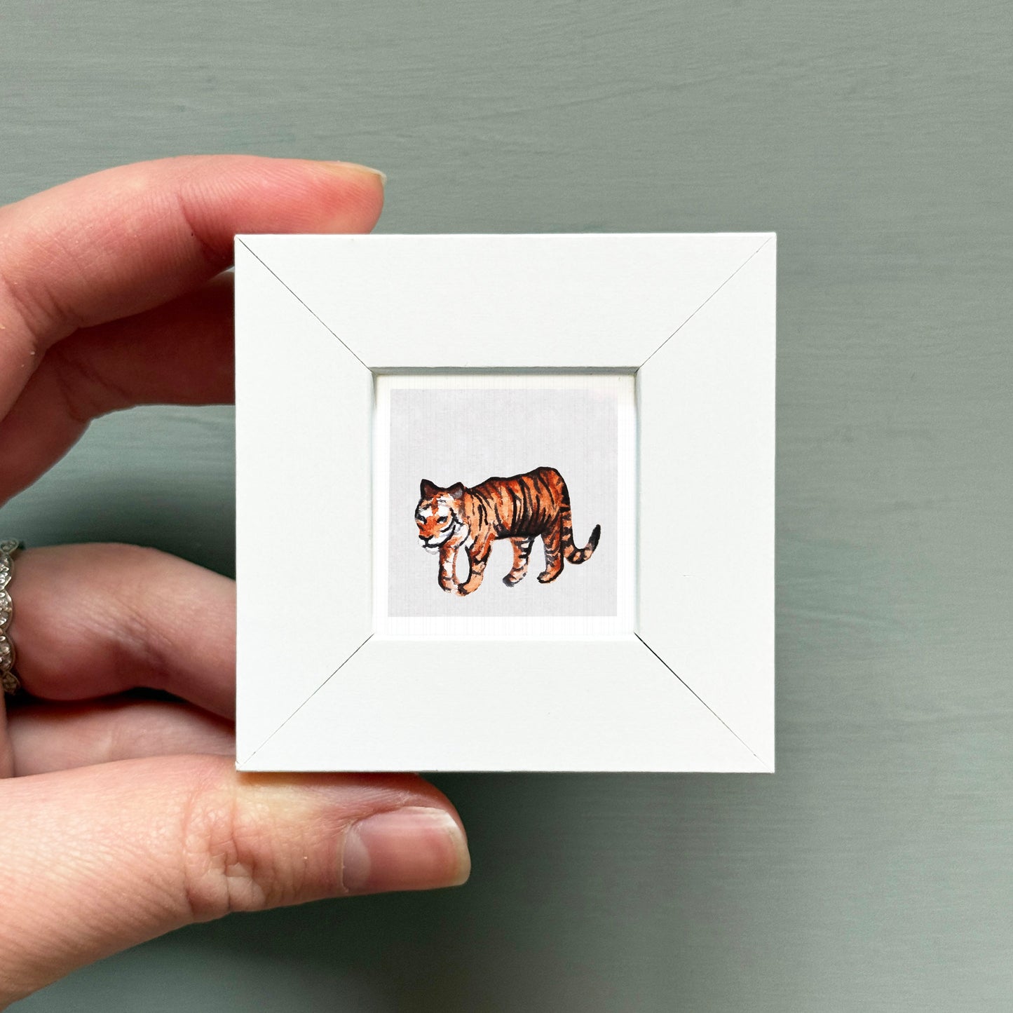 A hand is holding a small white square frame containing an illustration of a tiger.