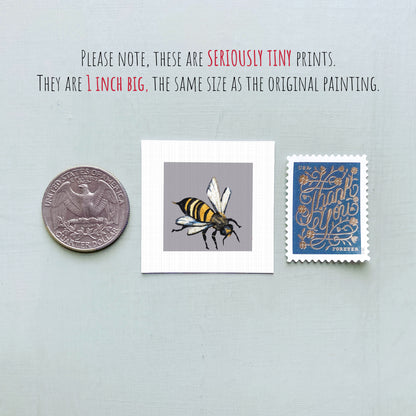 a collection of three small items: a quarter, a square print of a bee, and a postage stamp.