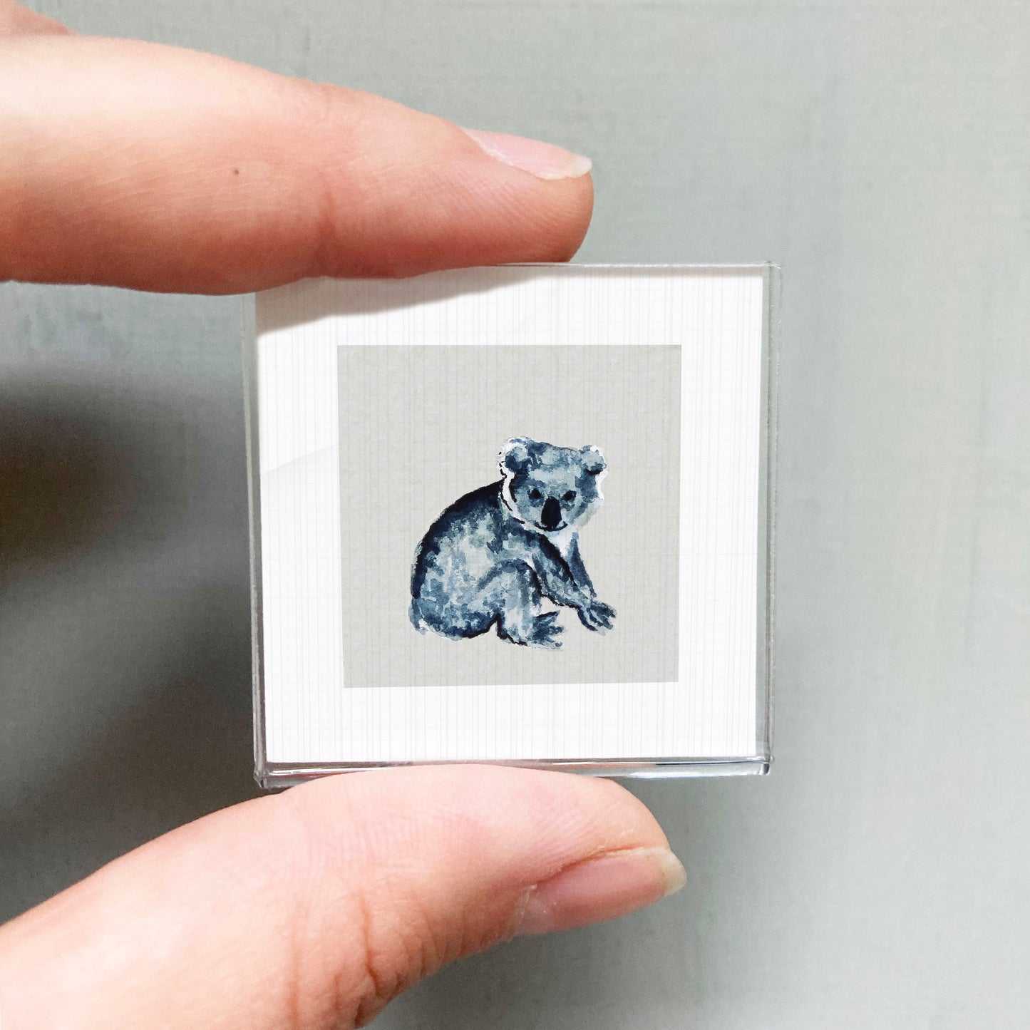 A person's hand is holding a small square picture of a koala bear.