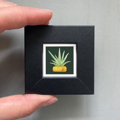 A person's hand holding a small black frame containing a framed picture of a cactus plant.