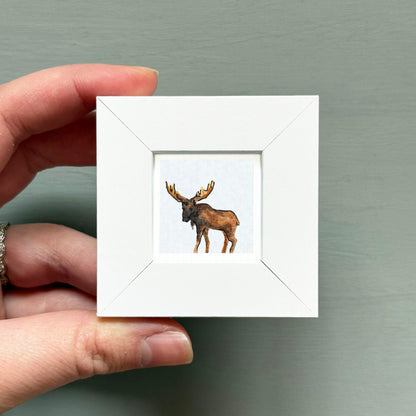 A hand is holding a small white picture frame containing a picture of a moose.