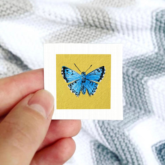 A hand is holding a small square card with a vibrant blue butterfly image on it.