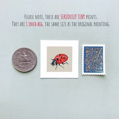 three small prints: a silver coin, a white square print of a red ladybug, and a blue postage stamp with gold lettering.