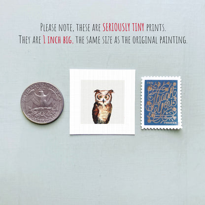 a collection of three small items: a quarter, a small owl print, and a postage stamp.
