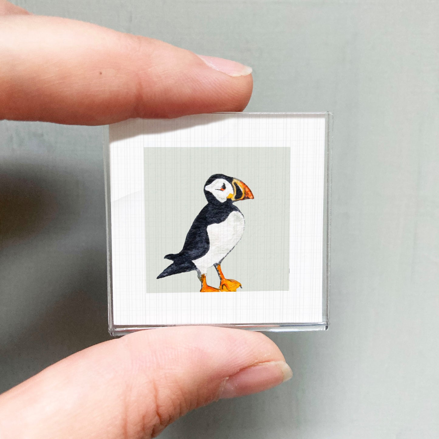 A person's hand is holding a small square picture of a puffin bird.