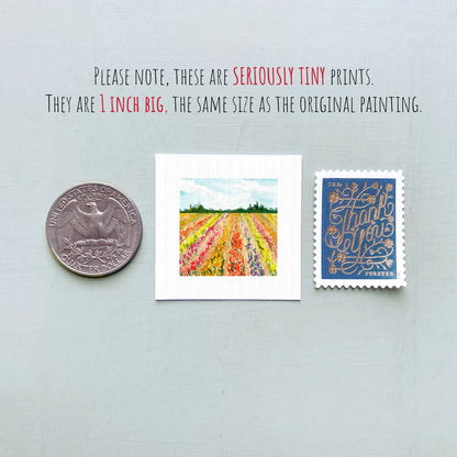 three small prints: a United States quarter, a watercolor painting of a field, and a postage stamp.