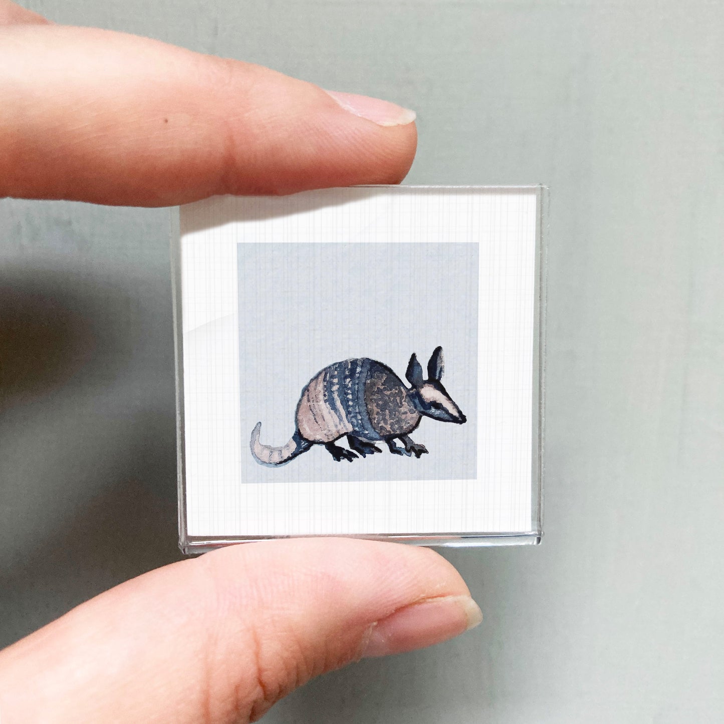 A person's hand is holding a small square picture of an armadillo.