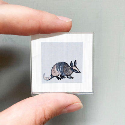 A person's hand is holding a small square picture of an armadillo.