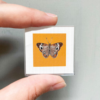 A person's hand is holding a small square frame containing a detailed illustration of a butterfly against an orange background.