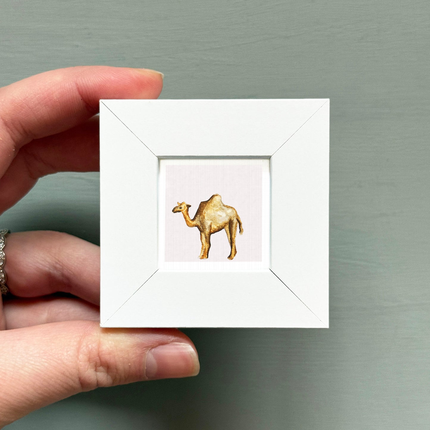 A hand is holding a small white square frame containing a painting of a camel.