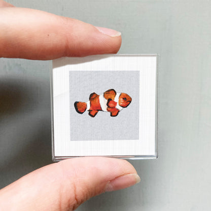 A person's hand is holding a small square picture of a clownfish, which is a type of fish.
