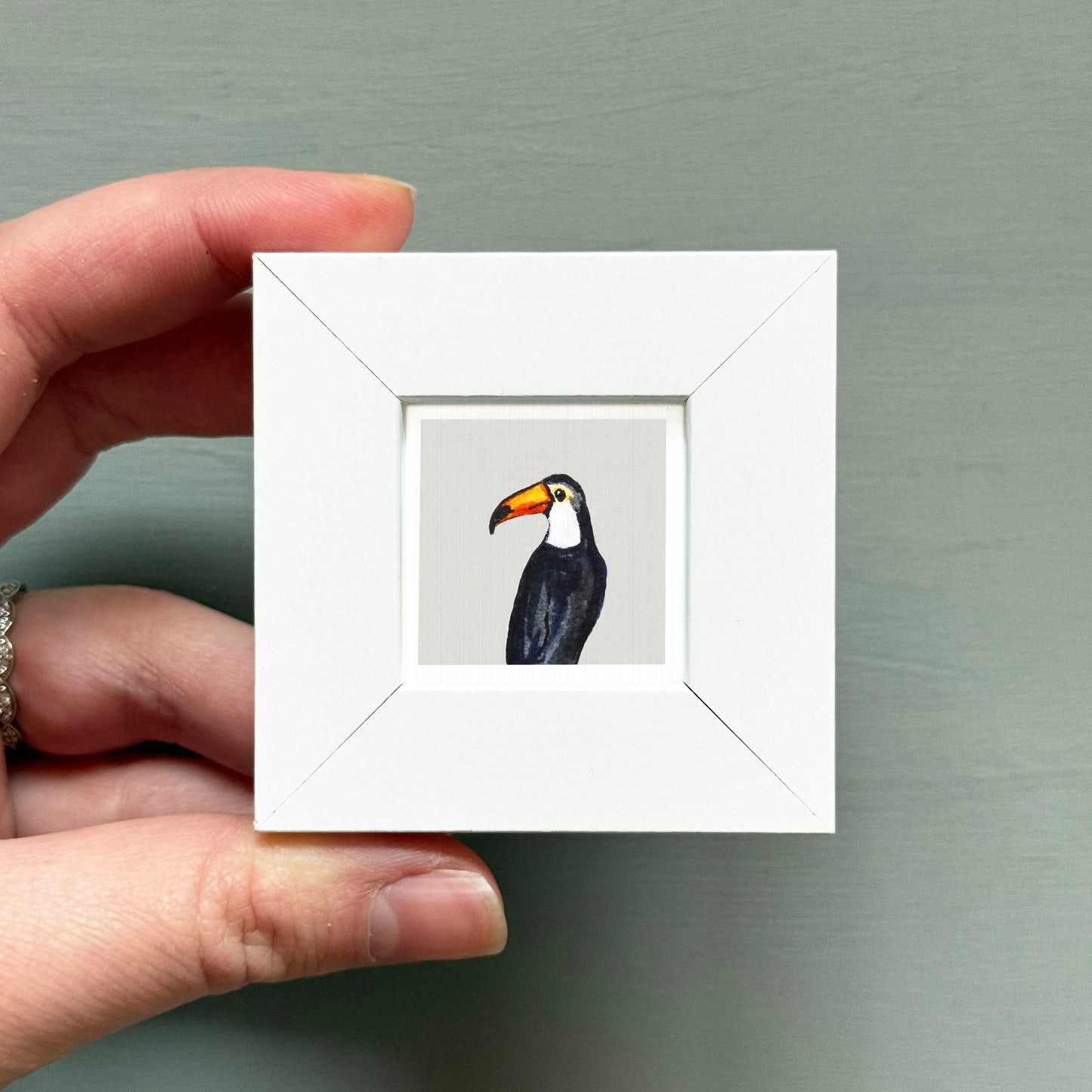 A person's hand is holding a small white square frame containing a close-up image of a toucan.
