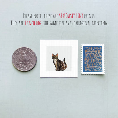 a collection of three small items: a quarter, a square print of a cat, and a postage stamp.