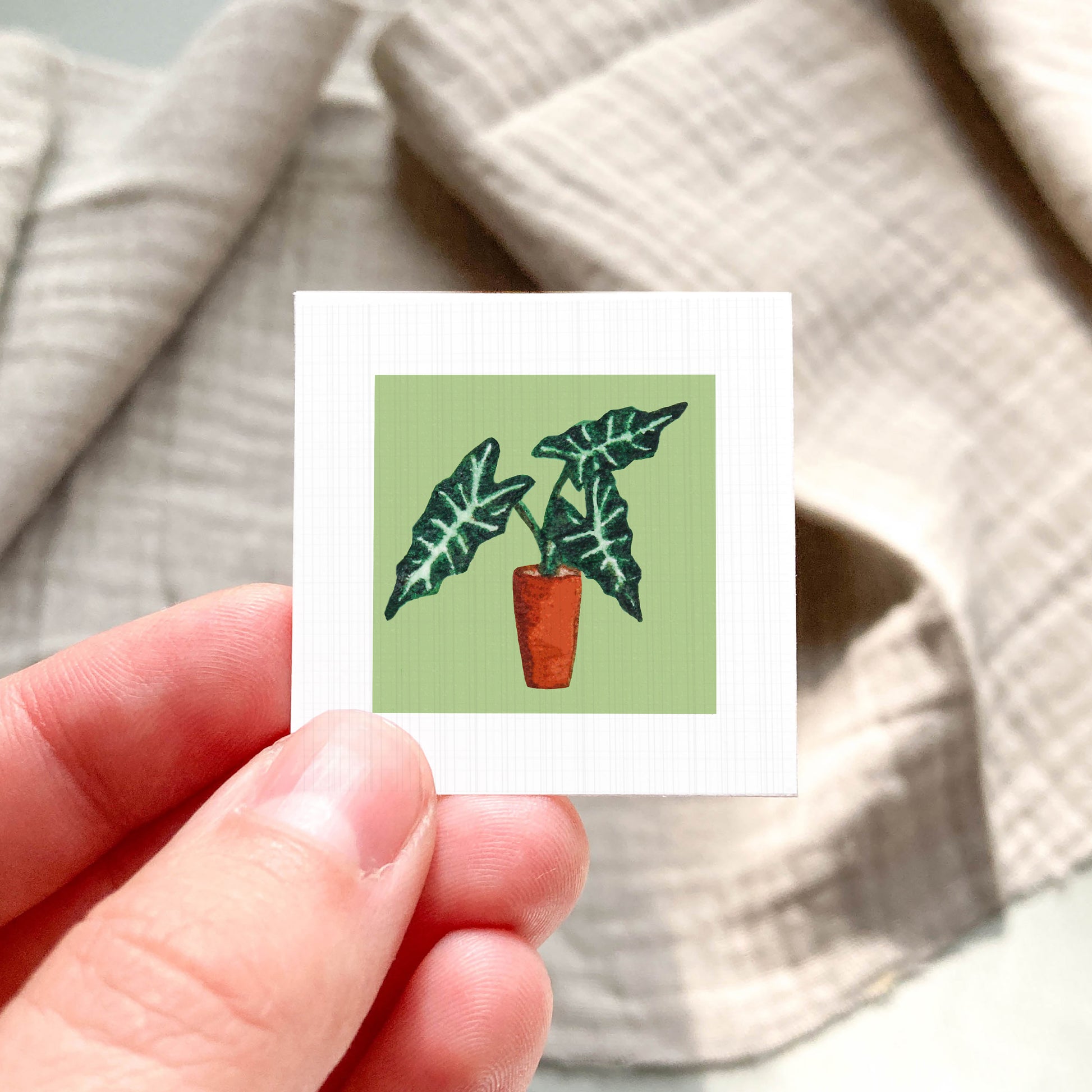 A hand is holding a small square card with a picture of a potted plant on it.