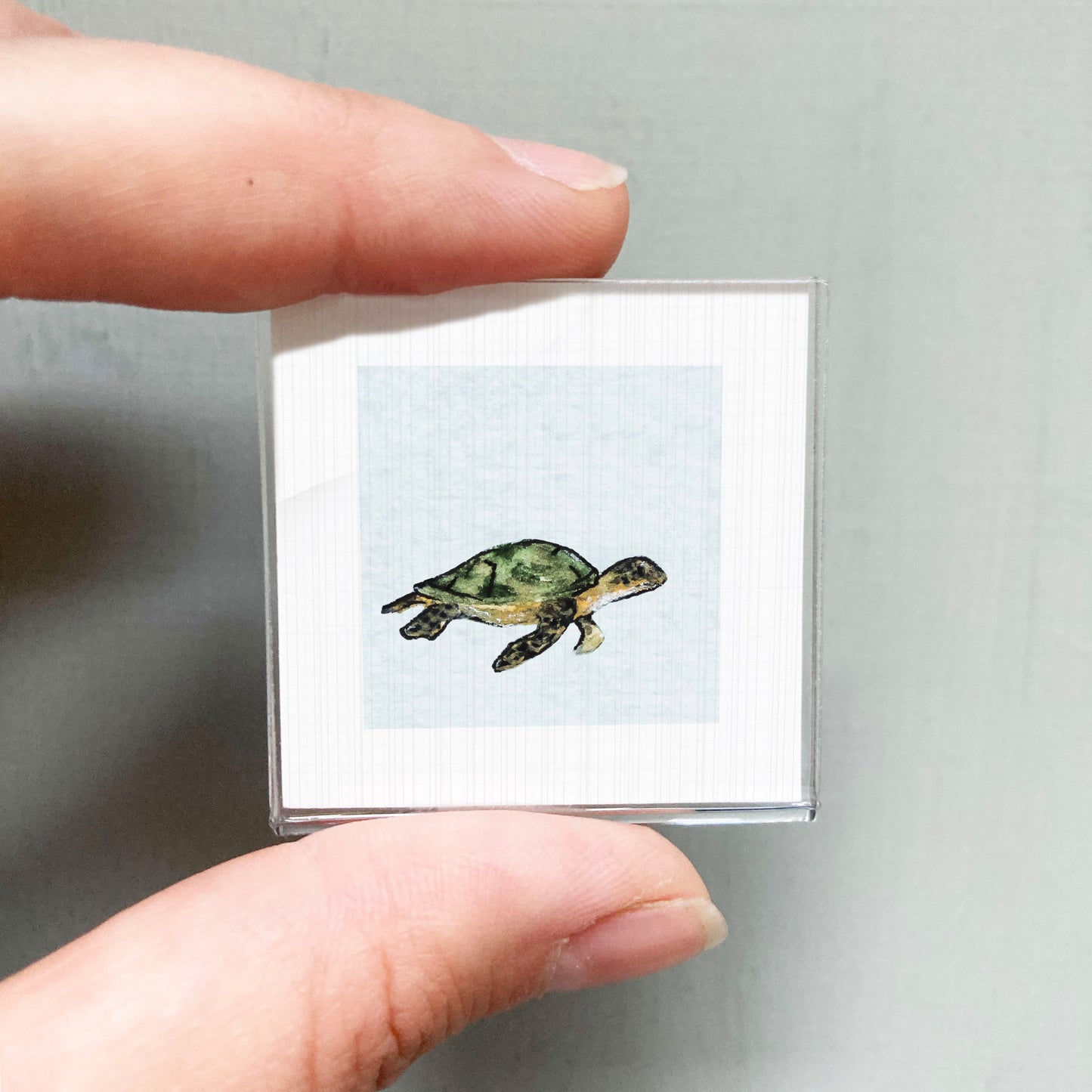 A person's hand is holding a small, square-shaped picture of a turtle.