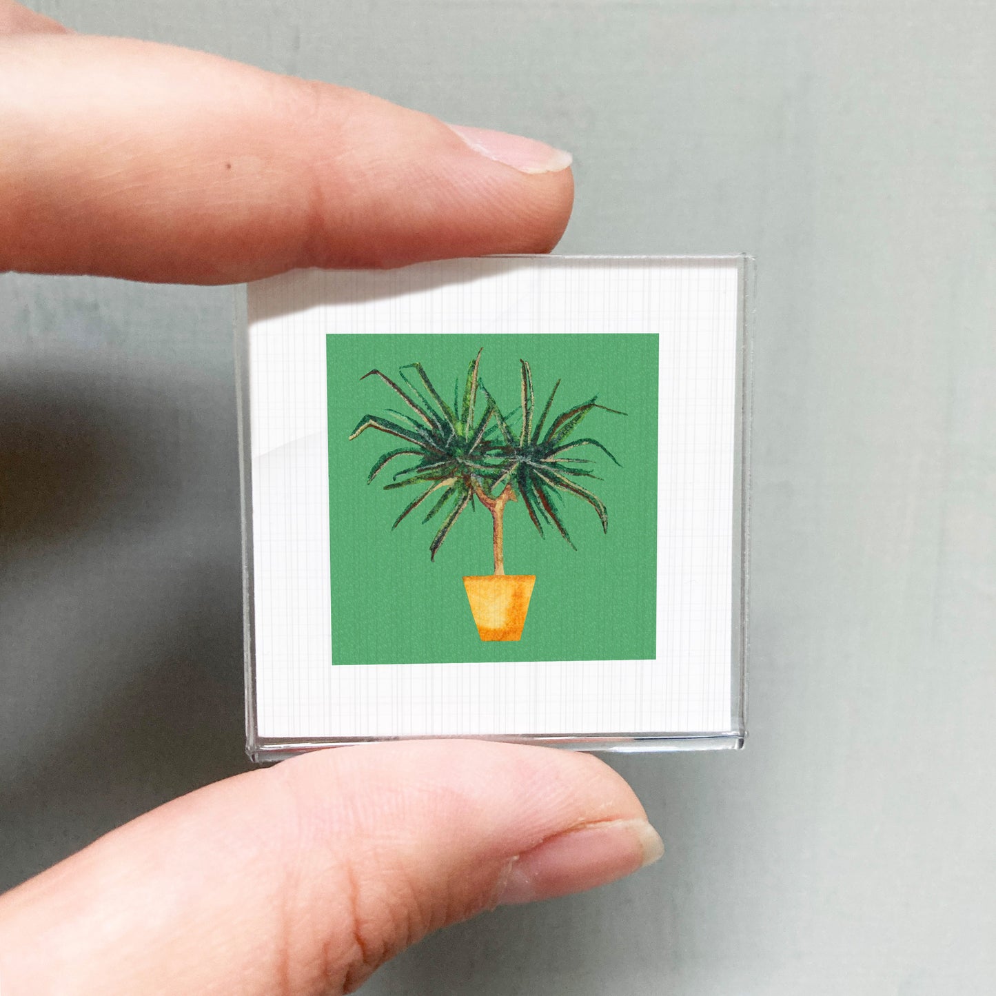 A person's hand holding a small square picture of a potted plant with green leaves and a yellow pot.