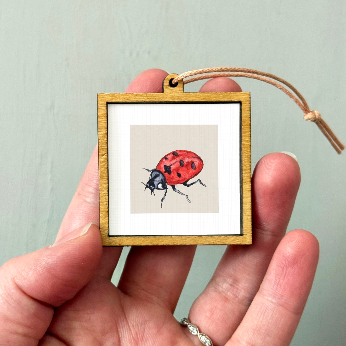 A person's hand holding a small wooden frame containing a picture of a ladybug.