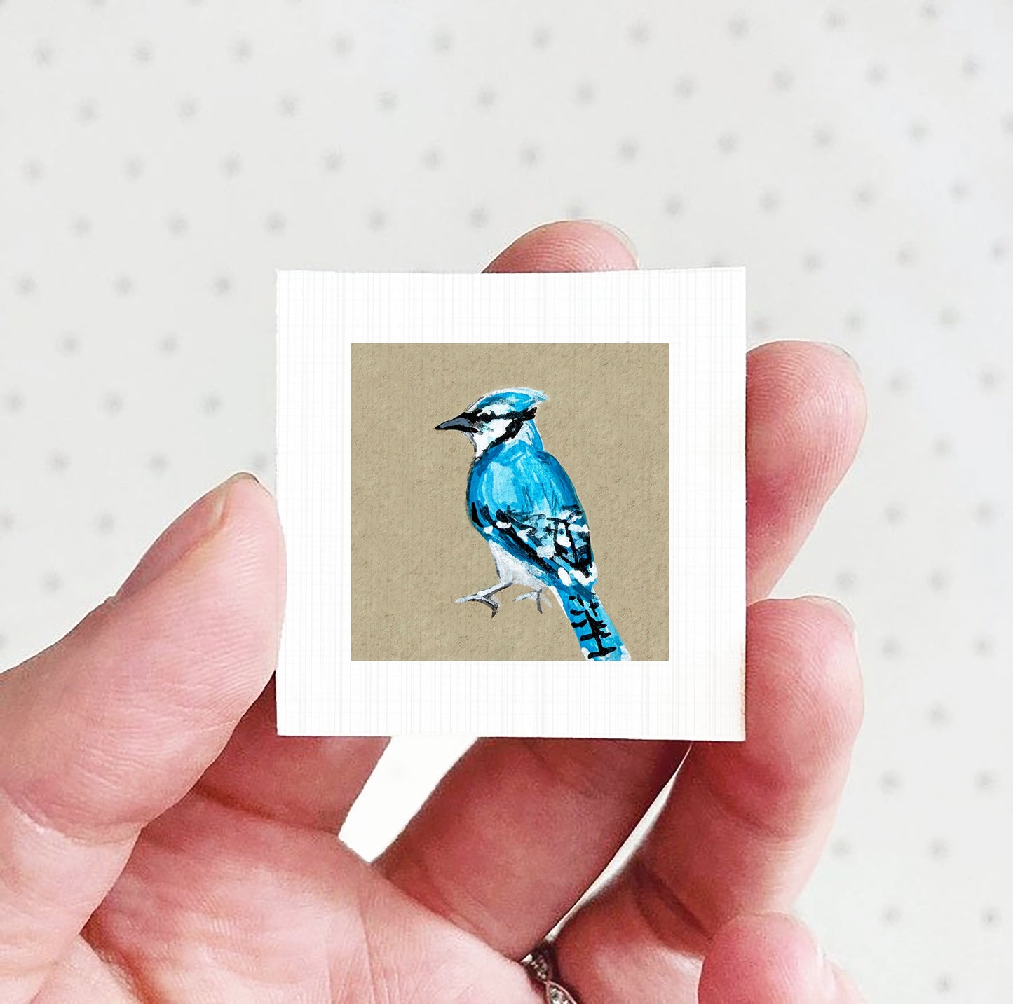 A hand holding a small square picture of a blue jay.