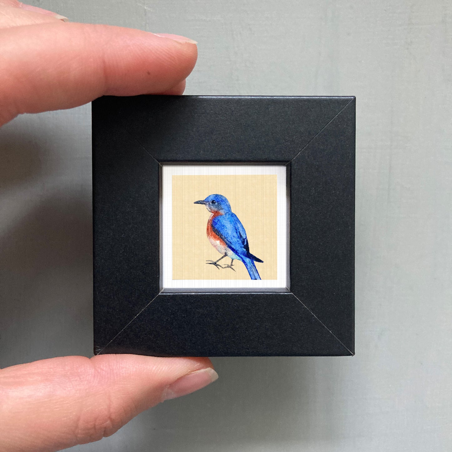 A person's hand is holding a small black frame containing a framed painting of a blue bird.
