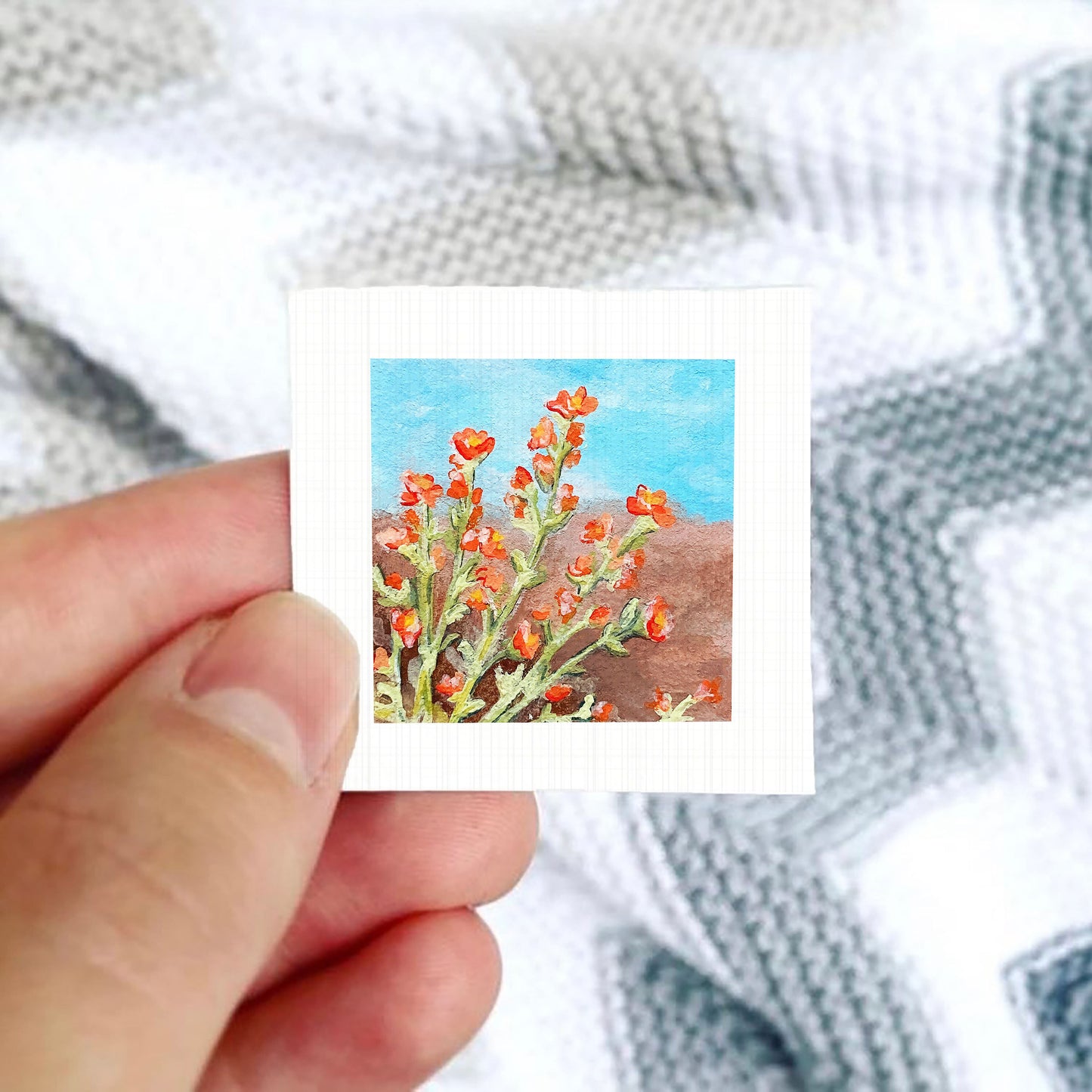 A hand is holding a small square picture of a field of red flowers against a blue sky background.
