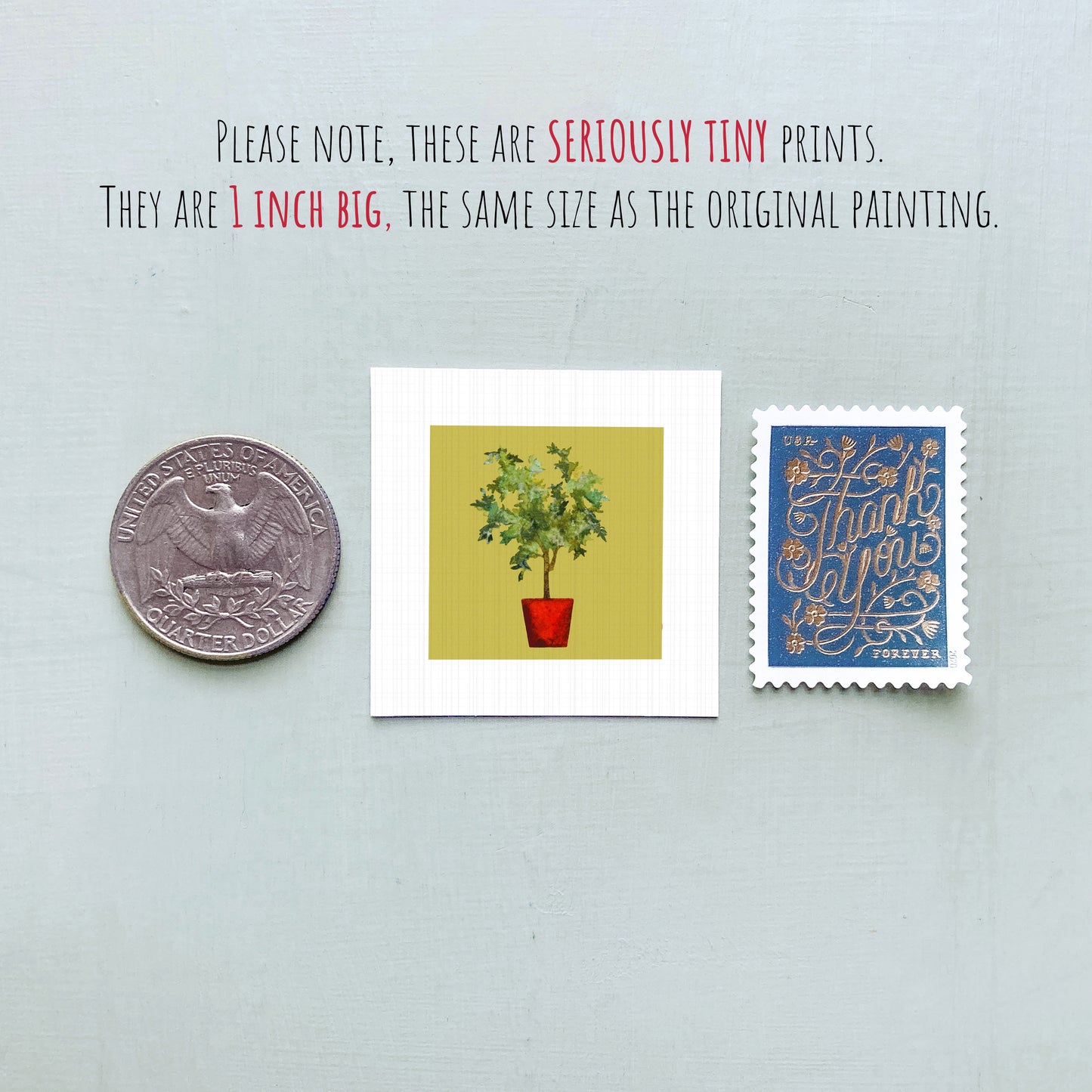 three small items: a quarter, a square print of a tree in a red pot, and a blue postage stamp with gold lettering.