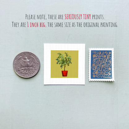 three small items: a quarter, a square print of a tree in a red pot, and a blue postage stamp with gold lettering.
