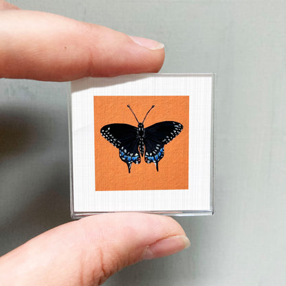 A person's hand is holding a small square with a black butterfly image on it against an orange background.