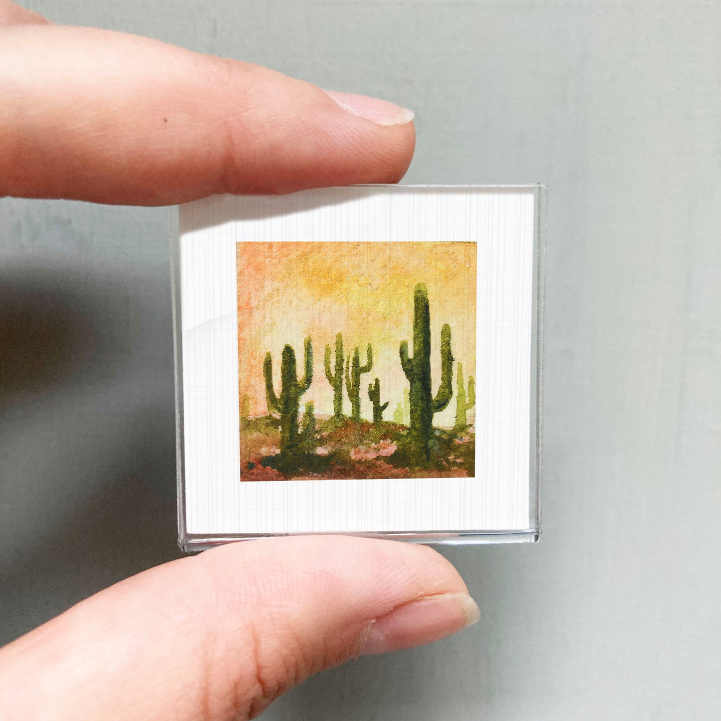 A person's hand holding a small square picture of a desert landscape with cacti.