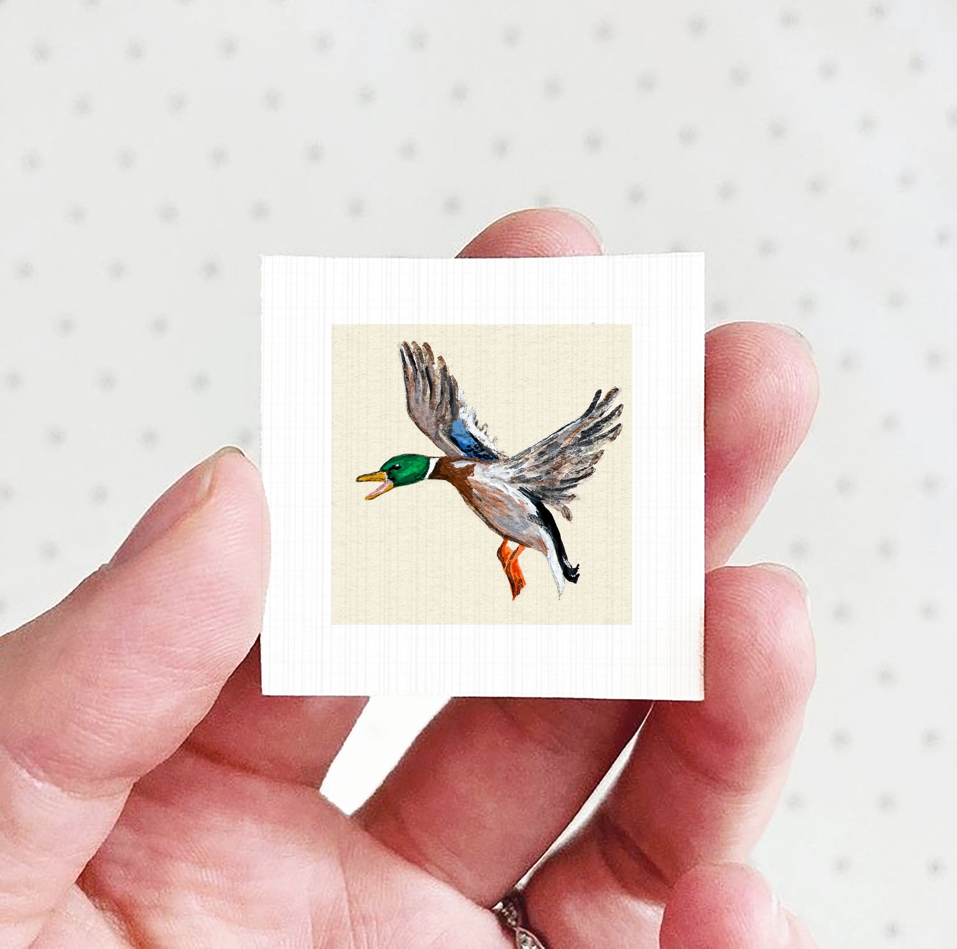 A person's hand holding a small square picture of a colorful bird, likely a duck, with its wings spread out.