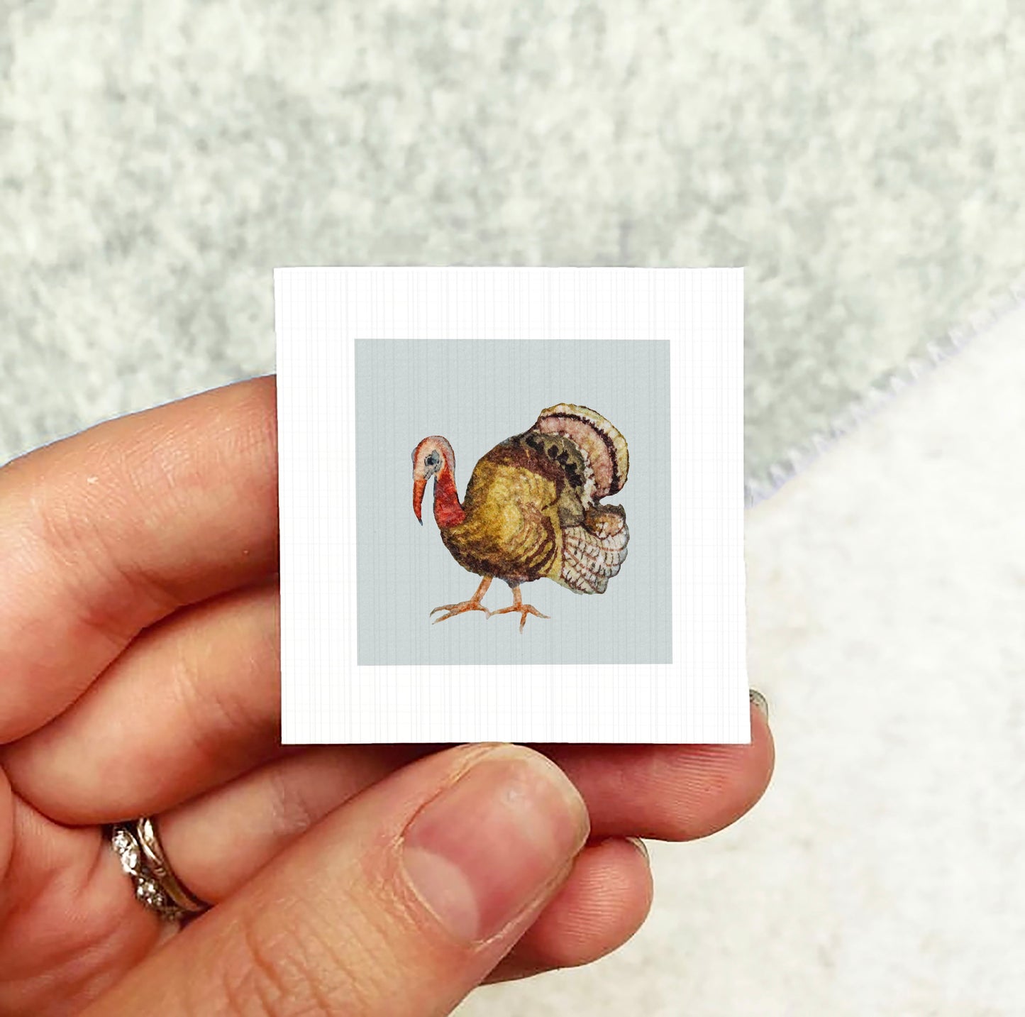 A person's hand holding a small square picture of a turkey.