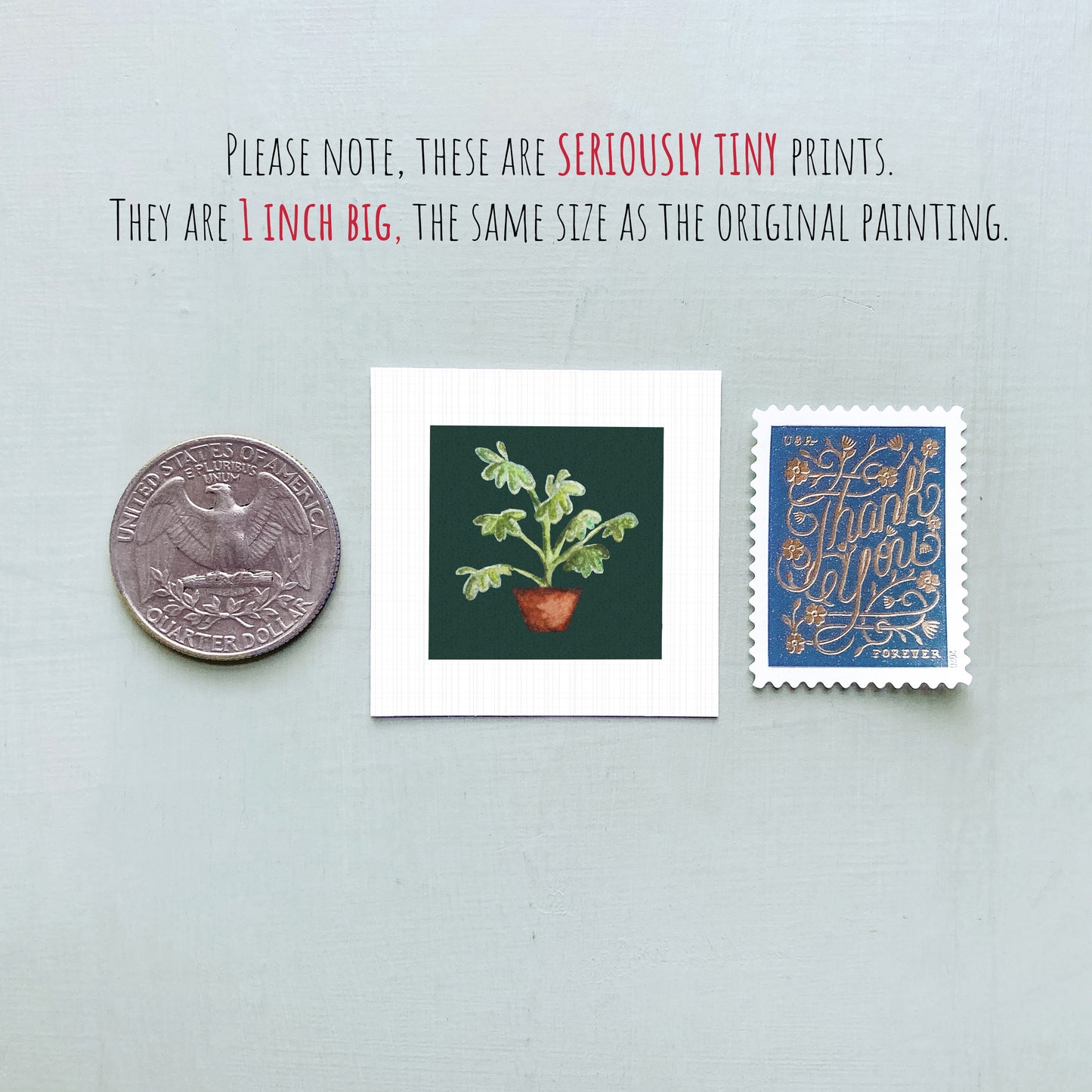 three small artworks: a quarter, a square print of a plant, and a postage stamp.